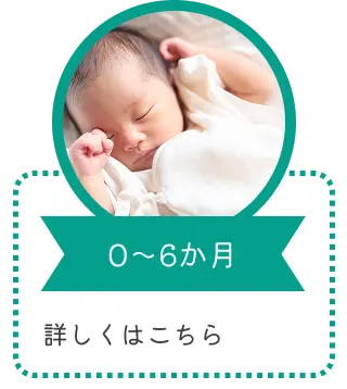 0～6か月｜詳しくはこちら