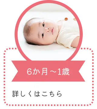 6か月～1歳｜詳しくはこちら